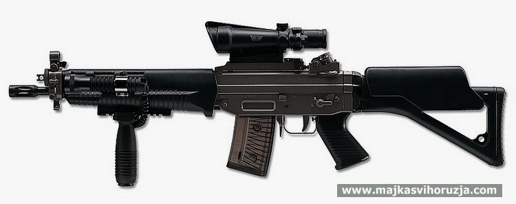 Swiss Arms SG 551 SWAT with accessories